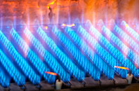 Bodwen gas fired boilers